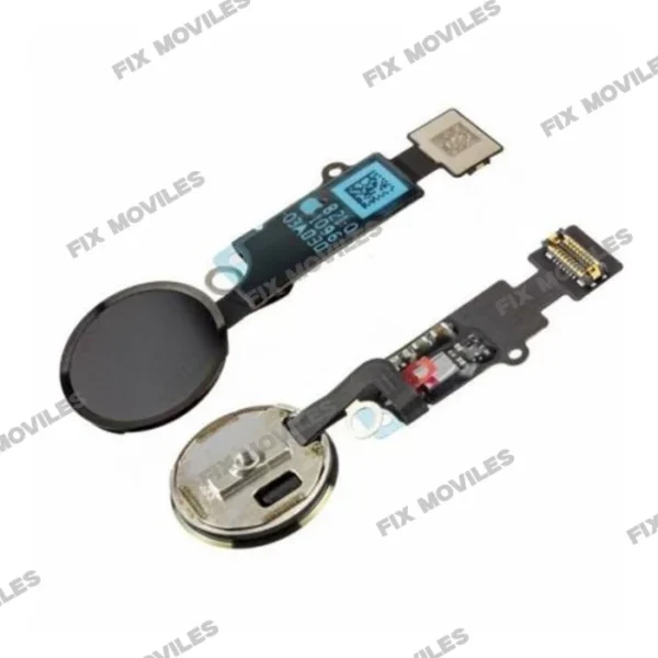 Flex Cable and Home Button for iPhone SE 2020 Black