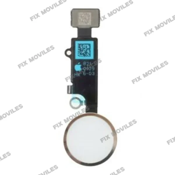Flex Cable and Home Button for iPhone SE 2020 White