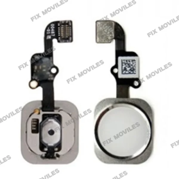 Flex and Home Button for iPhone 6S_6S Plus White