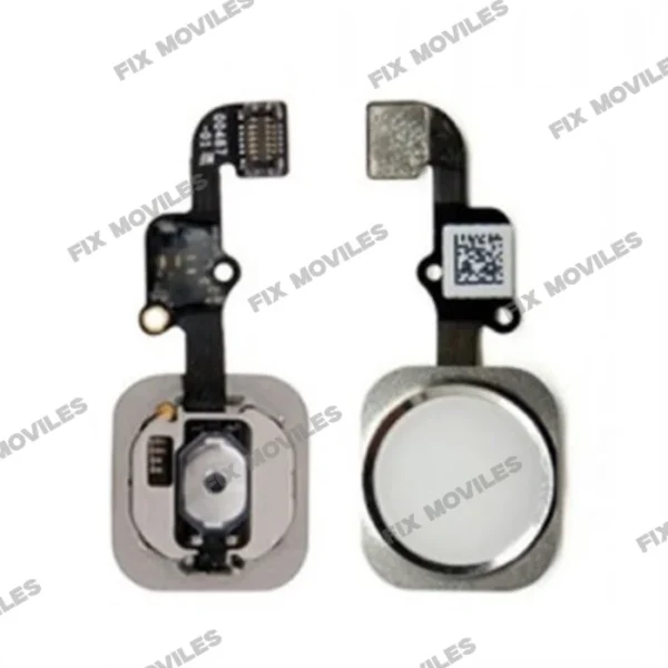 Flex and Home Button for iPhone 6S_6S Plus White
