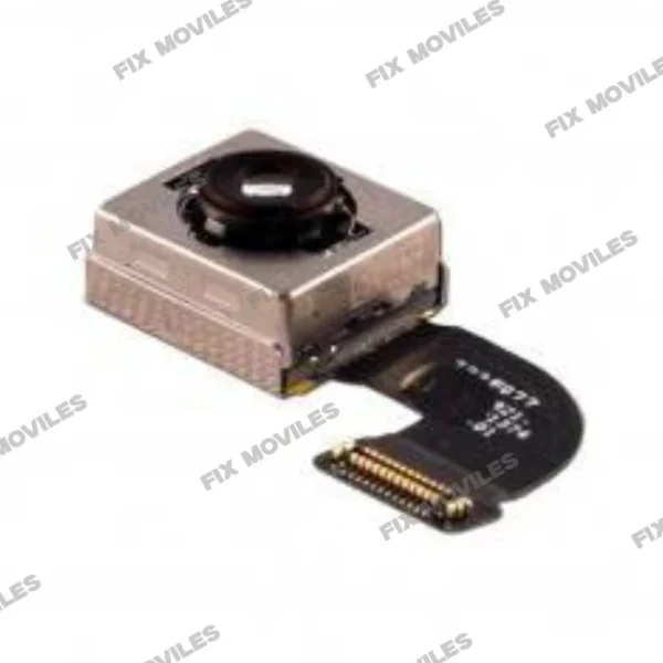 iPhone 8 _ iPhone SE 2020 Rear Camera