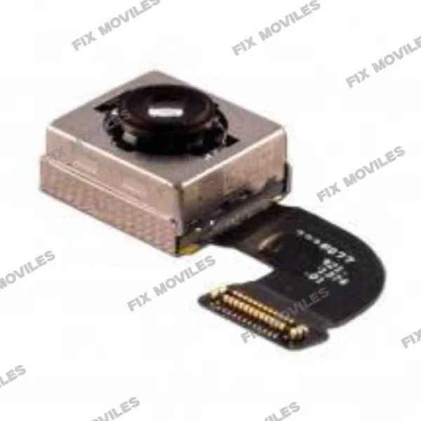 iPhone 8 _ iPhone SE 2020 Rear Camera