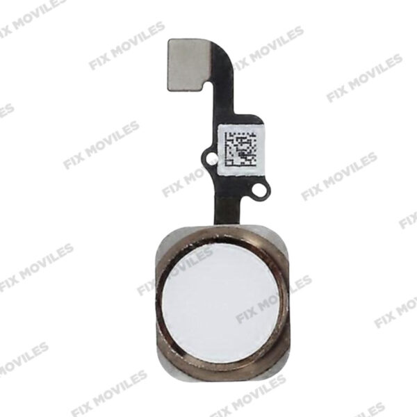 Cable Flex del Boton Home para iPhone 6G/6 Plus Blanco