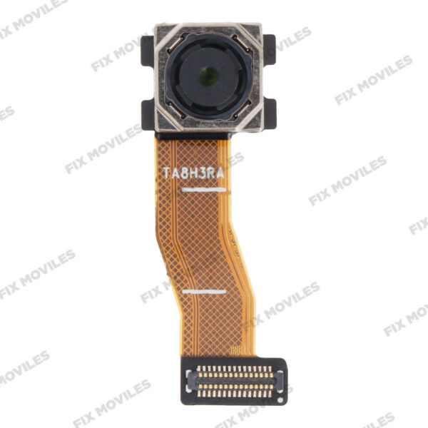 Camara Trasera para Samsung Tab A7 10.4 2020 T500/T505